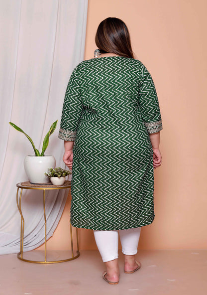 Miravan Womens Plus size Green Zigzag  Print Embroidery Rayon Straight Kurti